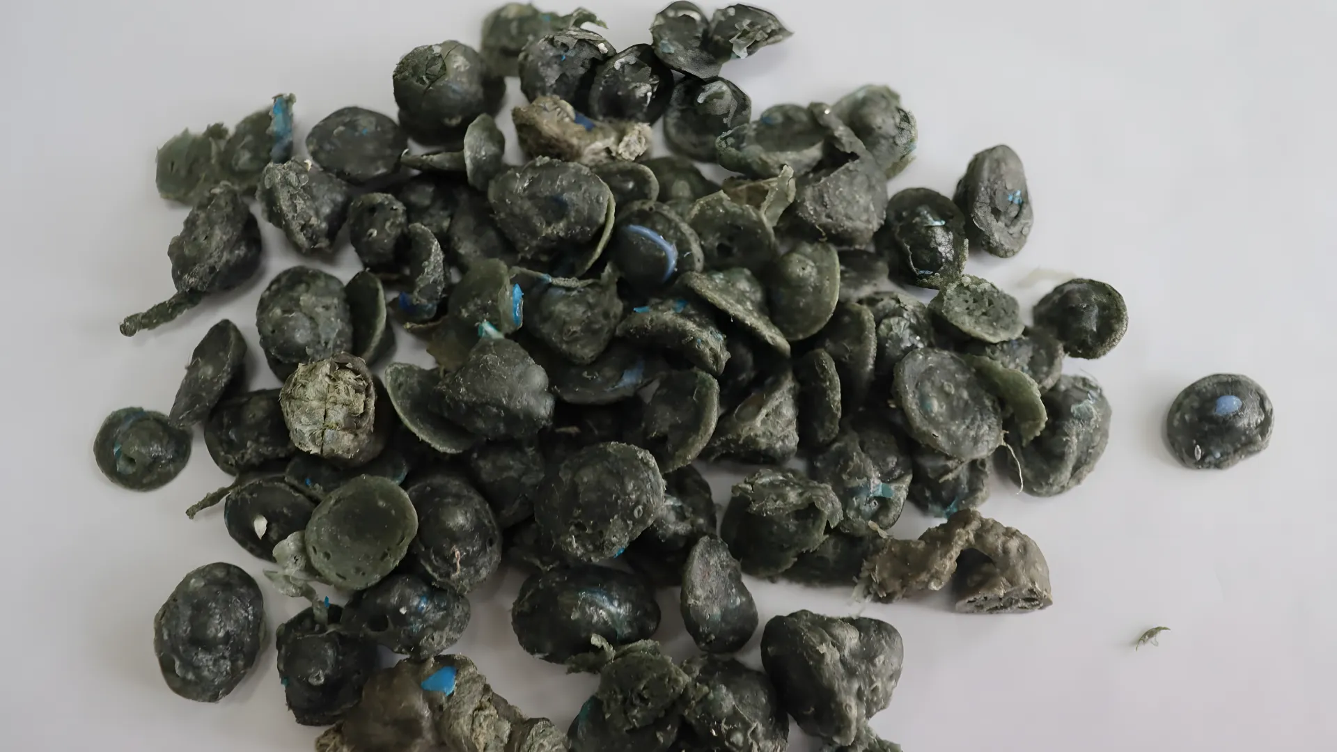 High-density plastic granules after squeezer densifier
